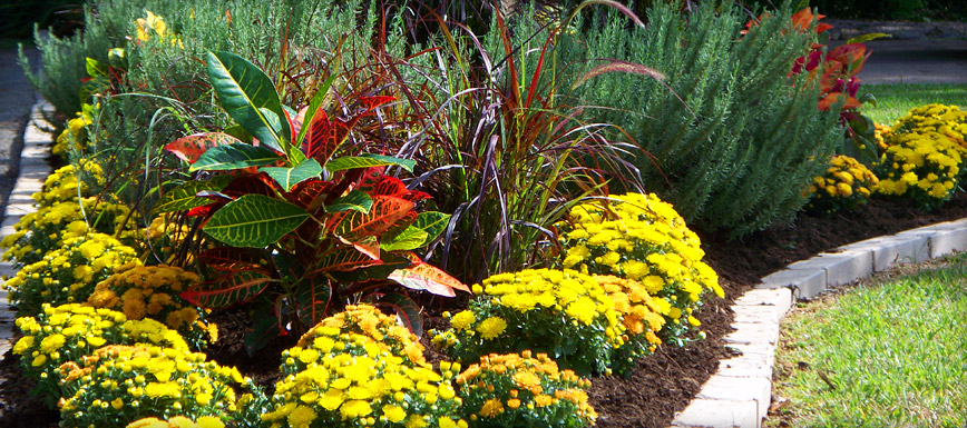J.Kanka Lawn and Landscape