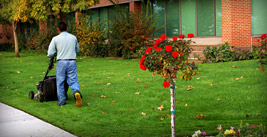 Lawn Maintenance