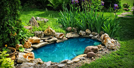 Ponds & Fountains