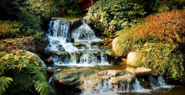 Water Falls